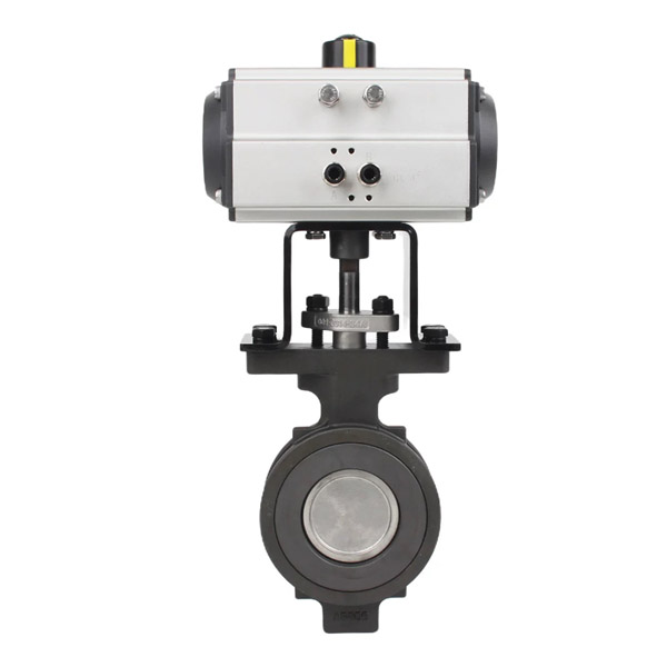 ����˫ƫ�ĵ���